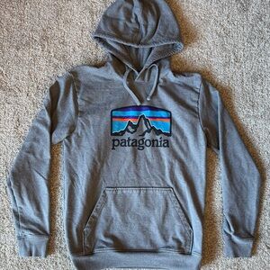 Patagonia Gray Hoodie with Logo Design